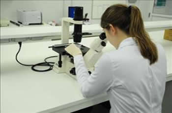 IMUNOLAB LABORATÓRIO DE ANÁLISES CLÍNICAS