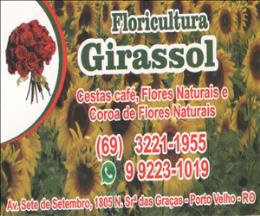 Floricultura Girassol